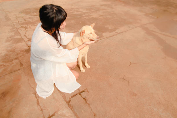 An Asian girl petting a cute dog