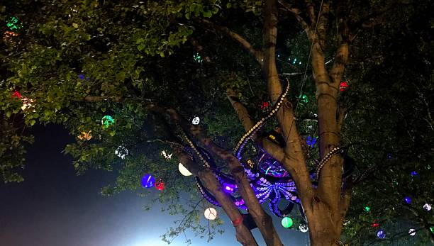 istock Sziget festival at night 1387627533