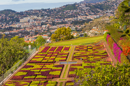 Lush gardens on Madeira island