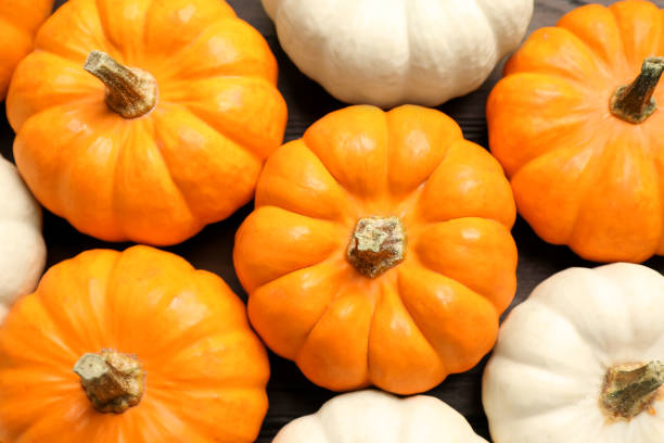 istock Many white and orange pumpkins on table, flat lay 1387630501