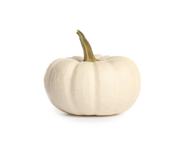 istock Beautiful small ripe pumpkin isolated on white 1387630558