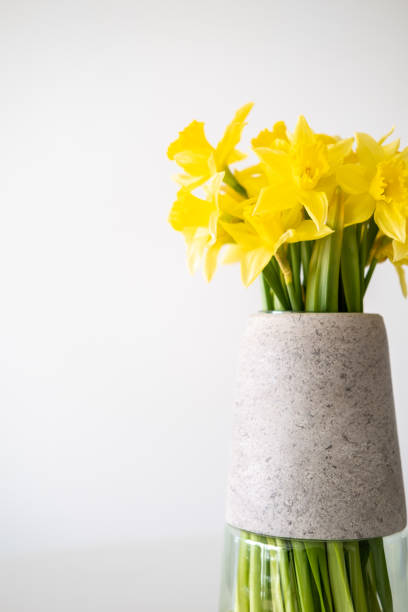 istock Yellow daffodil in a vase on white background. 1387630927