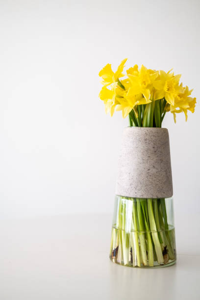 istock Yellow daffodil in a vase on white background. 1387630933