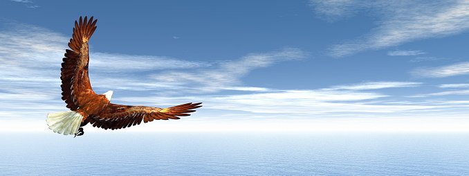 Eagle flying upon ocean by day - 3D render