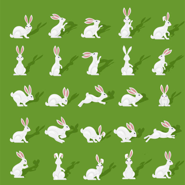 Rabbits Icons Easter Rabbit Icons on green background rabbit stock illustrations