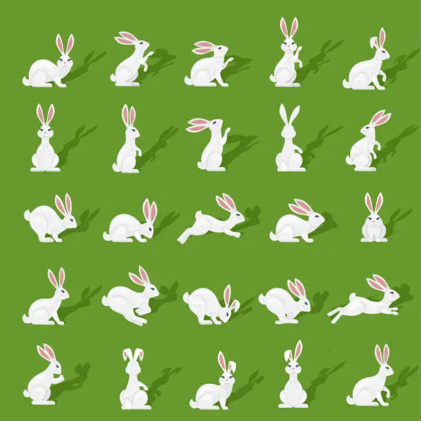 Vector illustration of Rabbits Icons