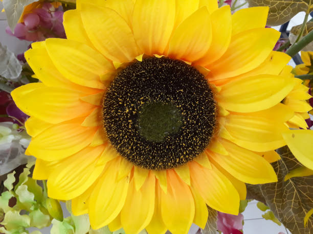 istock Close-up of sunflower 1387633649