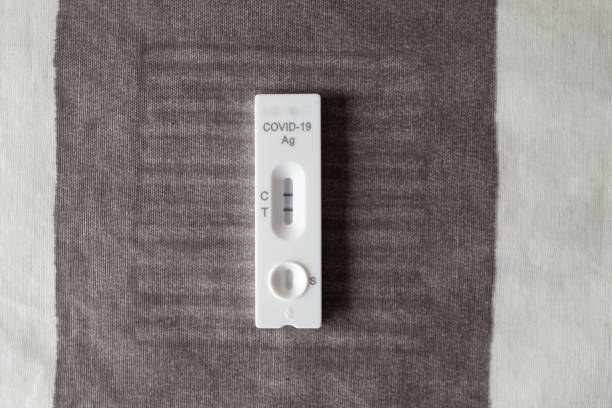 istock Positive Covid test close up still on a grey background 1387636861