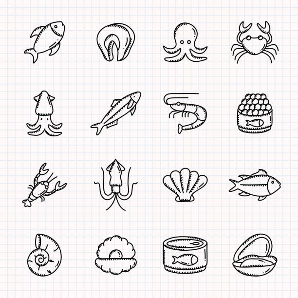 ilustraciones, imágenes clip art, dibujos animados e iconos de stock de conjunto de iconos dibujados a mano de alimentos marinos, ilustración vectorial de estilo garabato - fish seafood lobster salmon