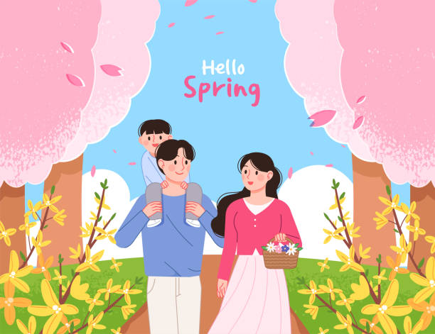 Hello spring! Happy family walking through park full of cherry blossoms and forsythia. Spring landscape vector illustration. forsythia garden stock illustrations