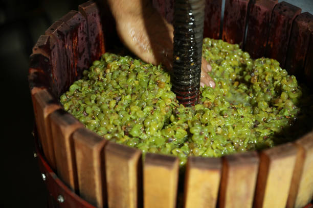 istock Man working with wooden wine press indoors, closeup 1387637991