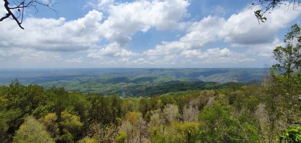 istock beautiful green forest with cloudy blue sky 1387641414