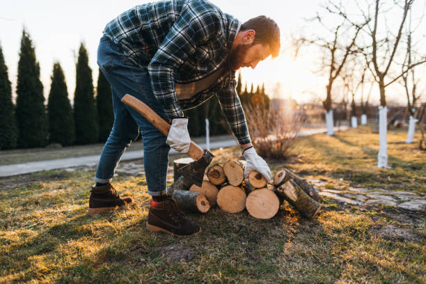 istock The man take a log for a chopping with the axe in the rural 1387645026