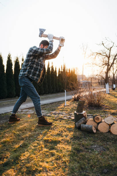 The man chopping firewood with an axe in the rural at the sunset