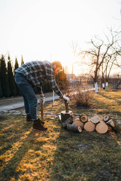 istock The man chopping firewood with an axe in the rural 1387645077