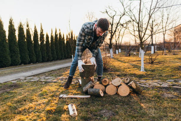 istock The man take a log for a chopping with the axe in the rural 1387645091