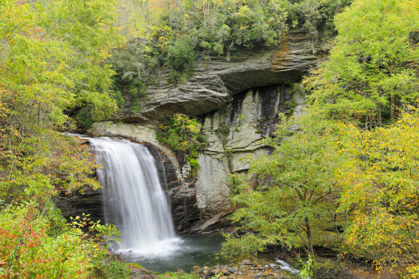 istock Looking Glass Falls - North Carolina 1387645134