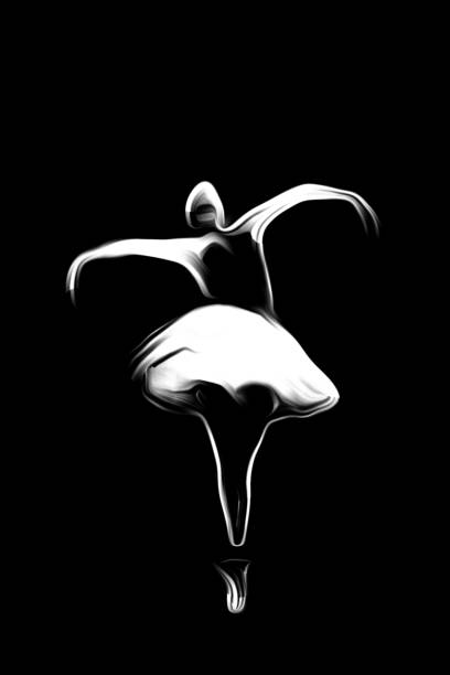 Ballerina dancing. Photographic Effect. Ballerina icon white on black.