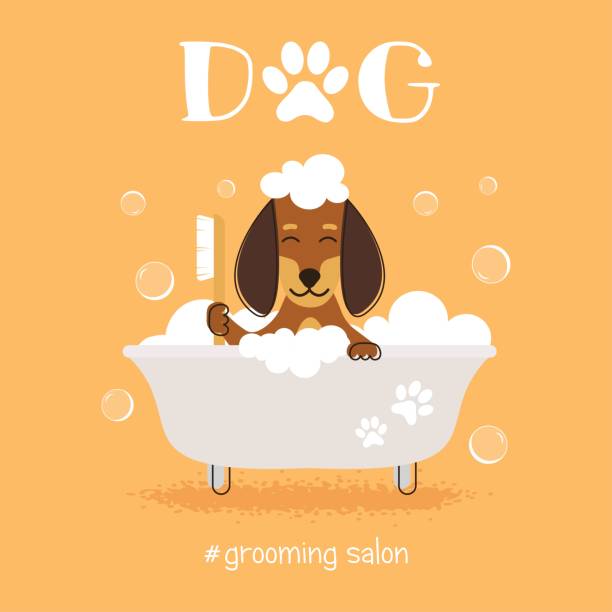 ilustrações de stock, clip art, desenhos animados e ícones de dog grooming salon vector illustration - dog bathtub washing puppy