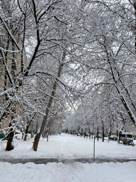 istock winter in city yard at cloudy day after snowfall 1387659682