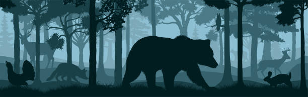 illustrazioni stock, clip art, cartoni animati e icone di tendenza di trama senza soluzione di continuità della foresta vettoriale della foresta con orso, groose di legno, lince, gufo, cervo, coniglio e volpe - great smoky mountains illustrations