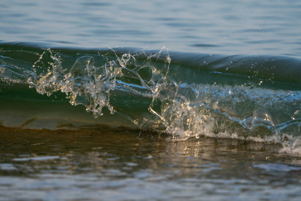 istock Waves about to break on beach at low tide 1387663405