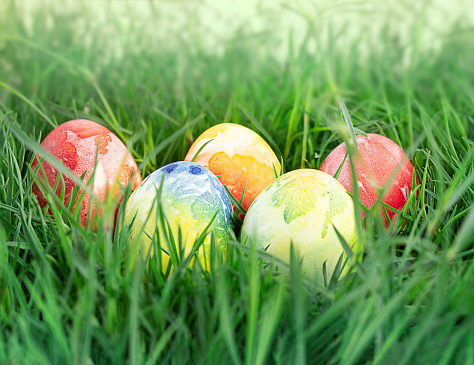 Colored eggs in green grass. Easter concept, hunter game. Copy space
