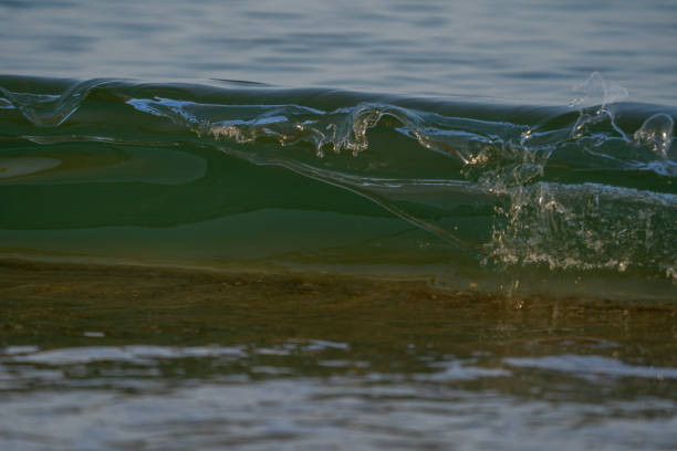 istock Waves about to break at low tide 1387663567