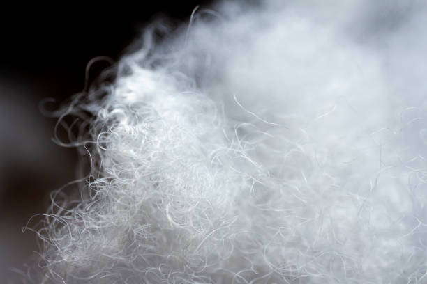 istock Extreme macro of polyester stable fiber 1387665464
