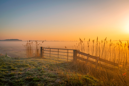 It is still early in the morning. A little frost is on the grass and morning mist hangs over the fields. The sun is just rising and gives a magical orange effect to the entire image.