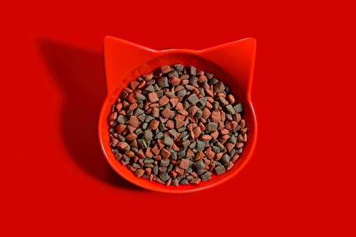 Red cat shaped bowl filled with dry pet food on red background. Horizontal image with copy space.