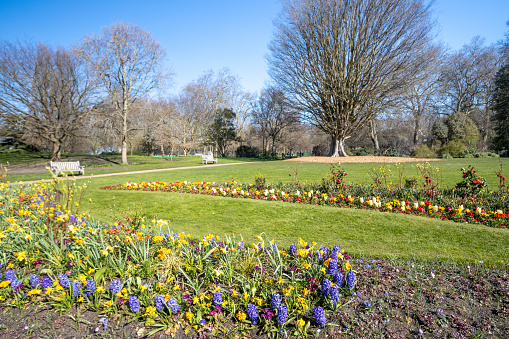 Springtime in Hyde Park at City of Westminster, London