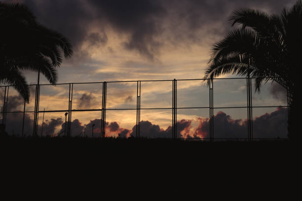 Beautiful pink contrast sunset with palm trees. Summer landscape. High quality photo