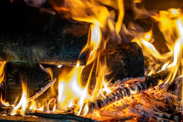 istock burning birch wood with a visible texture. background 1387679462