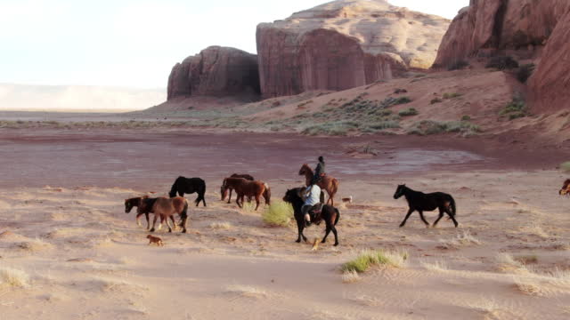 Three Navajo Sisters Herding Young Horses