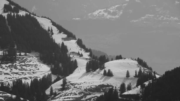 istock Monochrome image of a hill named Schild. 1387683100