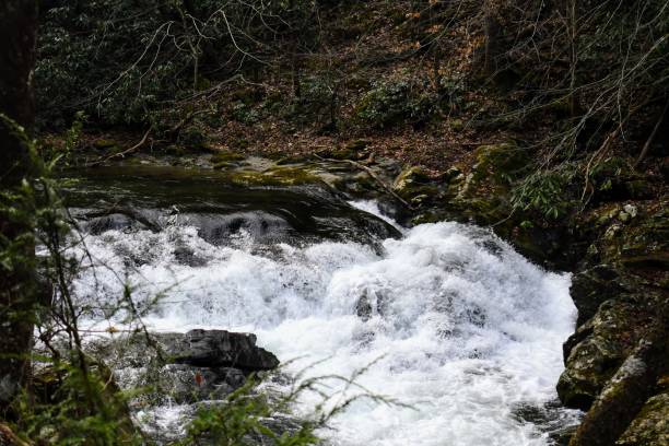 istock Trout Fishing Hole 1387686108