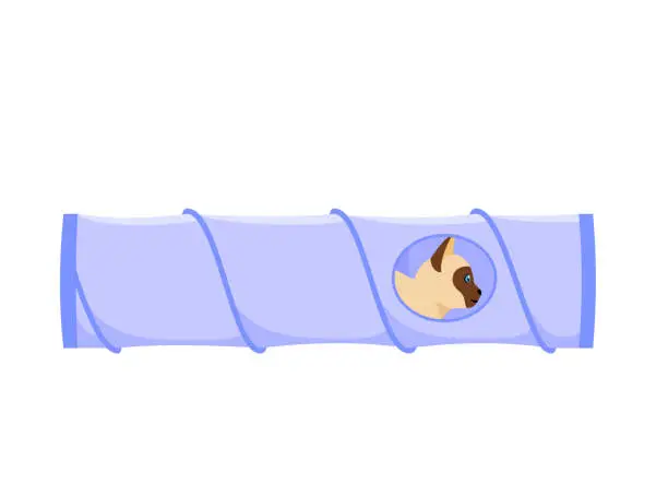 Vector illustration of Cat tunnel. Cute siamese cat sits in collapsible toy tube. Hiding and resting place for indoor pet. Flat style vector