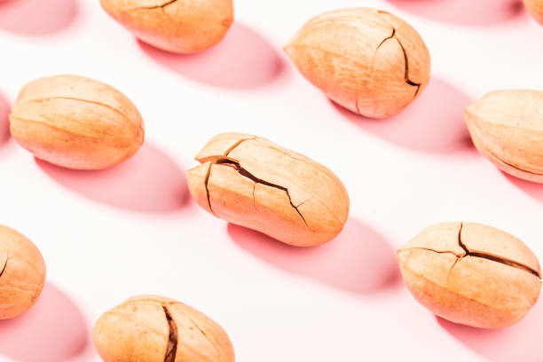 istock Delicious snacks - a pile of Pecan 1387689181