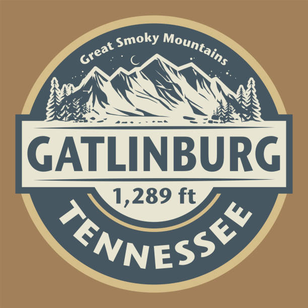 illustrations, cliparts, dessins animés et icônes de emblème avec le nom de gatlinburg, tennessee - southern rocky mountains