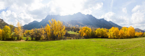 autumnal panoramic landscape with wooded meadows and mountains - paisaje panoramico otoñal con praderas arbolado y montañas - otono imagens e fotografias de stock