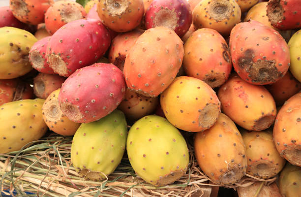 haufen reifer kaktusfeigenkakteenfrüchte (opuntia ficus-indica) zum verkauf am marktstand in peru, südamerika - prickly pear fruit cactus prickly pear cactus yellow stock-fotos und bilder