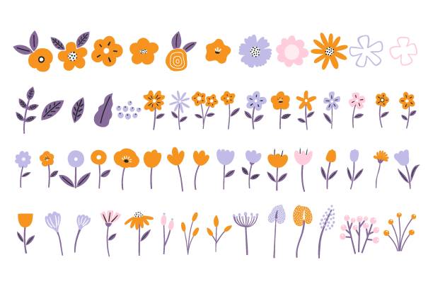 zestaw ręcznie rysowanych kwiatów i liści wektorowa - wildflower set poppy daisy stock illustrations