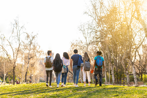 Vista trasera de una fila de jóvenes estudiantes multiétnicos caminando juntos en el parque photo