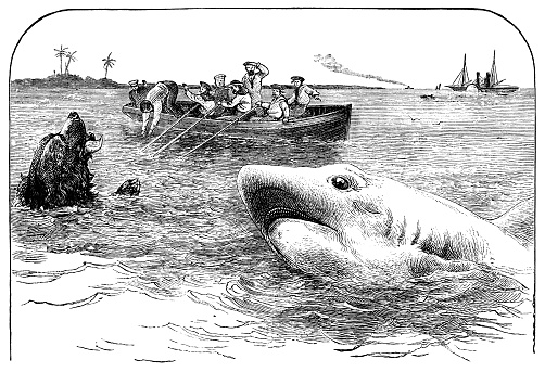 A struggling dog in grave danger of being attacked by a shark. Meanwhile, one man is bravely diving into the sea to attempt a rescue from a rowing boat filled with horrified sailors. From “The Cottager & Artisan” published in 1892 by The Religious tract Society, London.