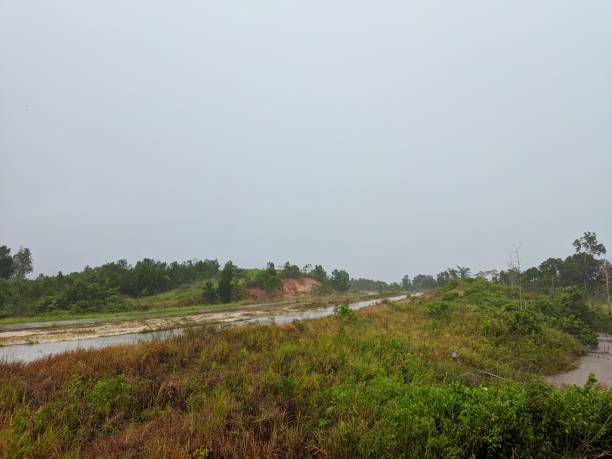 istock photo of natural scenery, beautiful rain 1387711264