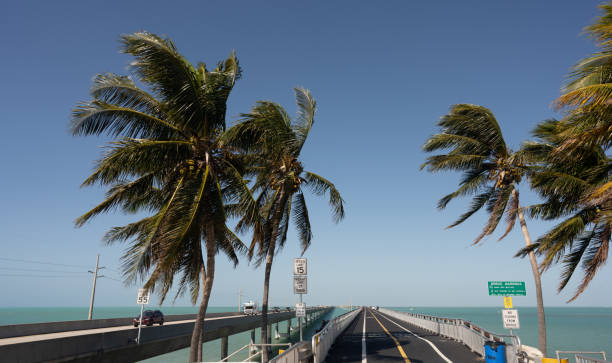 istock Florida Keys, USA 1387711362