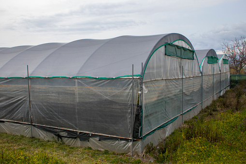 Private Farm Greenhouses. Spring Works on the Country Plot with Greenhouses. Flowers, Trees and Plants in Greenhouses or Tropical House. Spring Works in the Garden. The concept of Harvest and Prosperity.