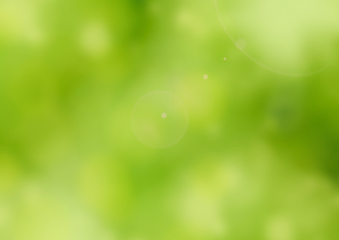 Abstract spring green bokeh backdrop. Green blurred background and sunlight with bokeh.