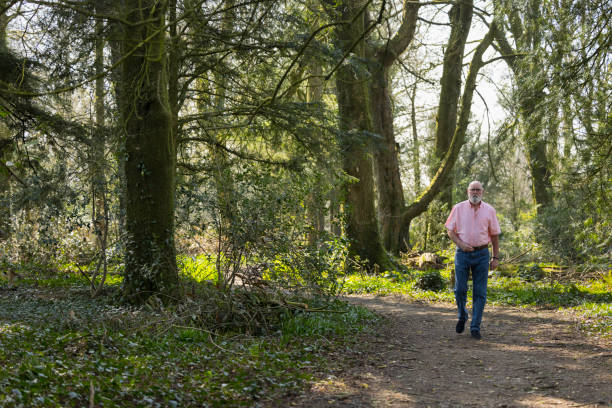 istock Elderly man walking in the woods 1387718871